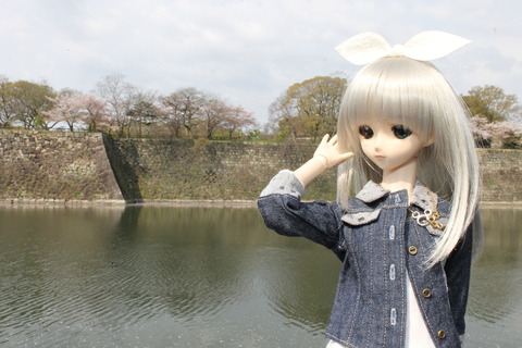 大阪城公園花見 016