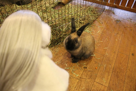 富士サファリパーク 101