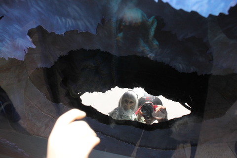 香港・マカオ 455