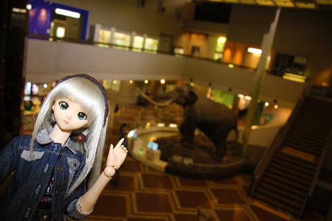 USJ、大阪自然史博物館 383-2