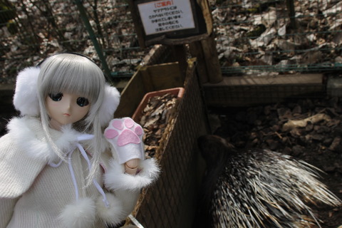 富士サファリパーク 013