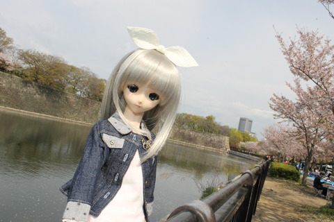 大阪城公園花見 010