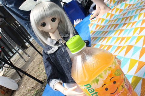 大阪城公園花見 108