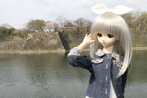 大阪城公園花見 017