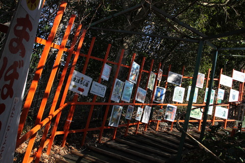 まぼろし博覧会 176