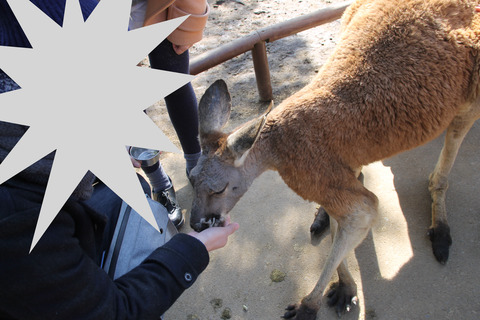 富士サファリパーク 124-2