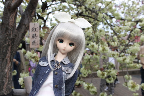 大阪城公園花見 141