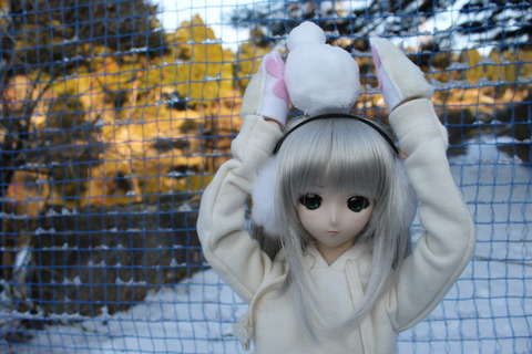 六甲スノーパーク 118