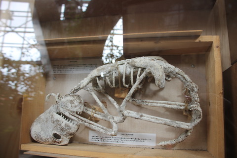 まぼろし博覧会 045