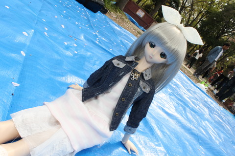 大阪城公園花見 032