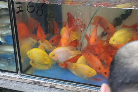 香港・マカオ 130