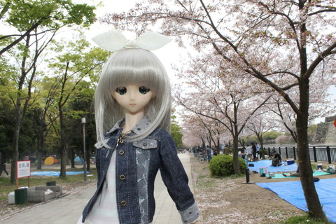 大阪城公園花見 042