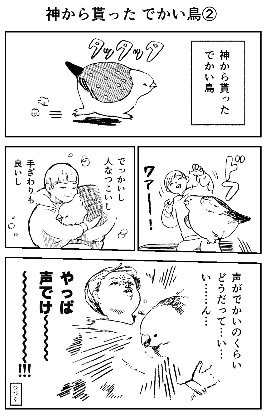 神から貰ったでかい鳥 Dolllyのマンガ屋さん Powered By ライブドアブログ 神から貰ったでかい鳥 Dolllyのマンガ屋さん Powered By ライブドアブログ