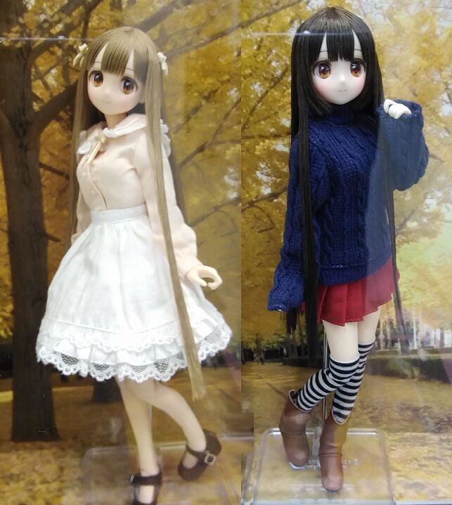 ここね からふるDreamin'『葉鳥 ここね in Wonderland ver.1.1』ご予約