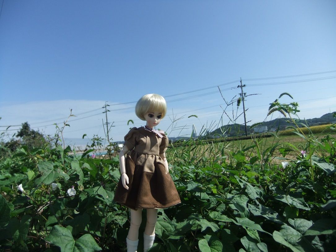 屋外撮影 敢行 フィギュアとdollの狭間で
