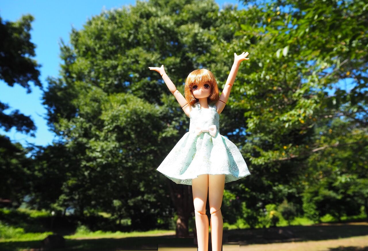 今月の1着 21年7月 フィギュアとdollの狭間で 今月の1着 21年7月 フィギュアとdollの狭間で