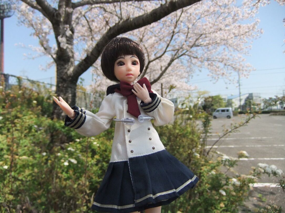 撮影時の背景はどうしてます フィギュアとdollの狭間で 撮影時の背景はどうしてます フィギュアとdollの狭間で