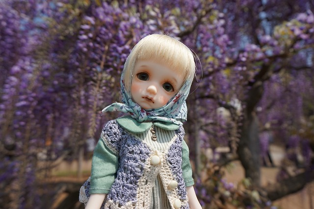 DSC08043