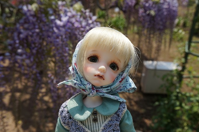 DSC08014