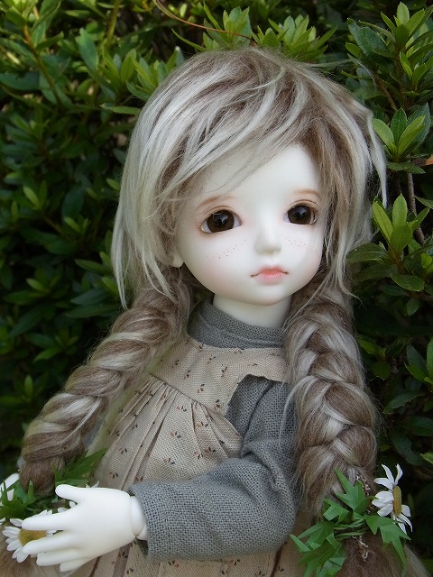 noname 041