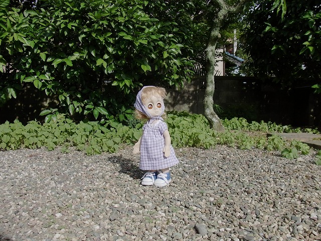 noname 023