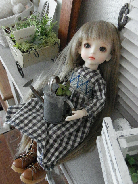 RIMG0007