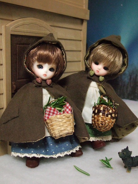 img20080203_p