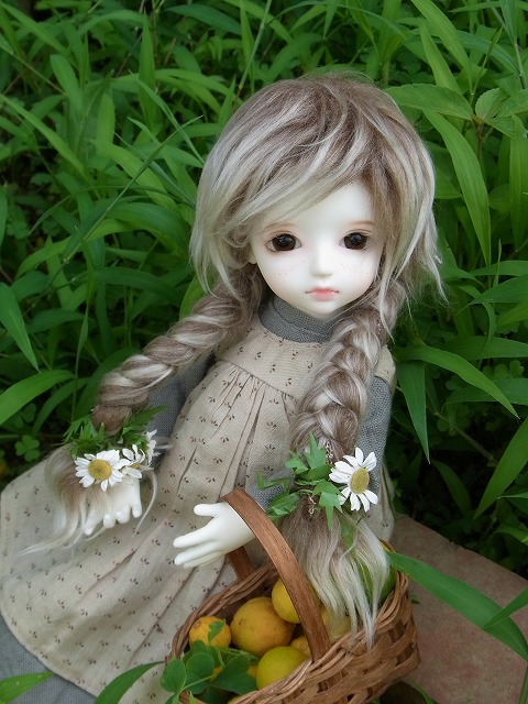 noname 039