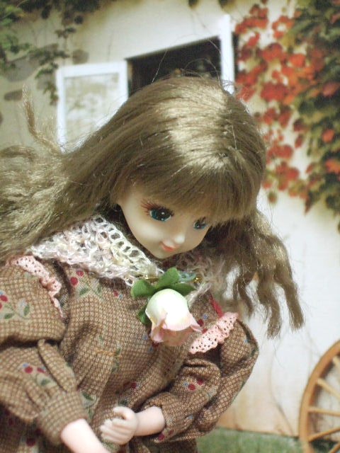 72870a8d.jpg