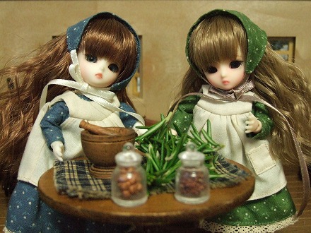 img20080203_1_p