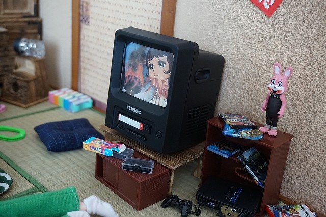 DSC05546