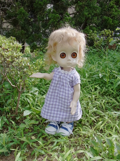 noname 012