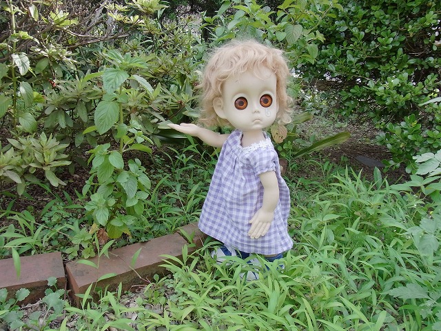 noname 017