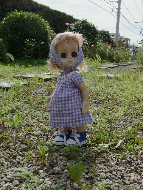 noname 019