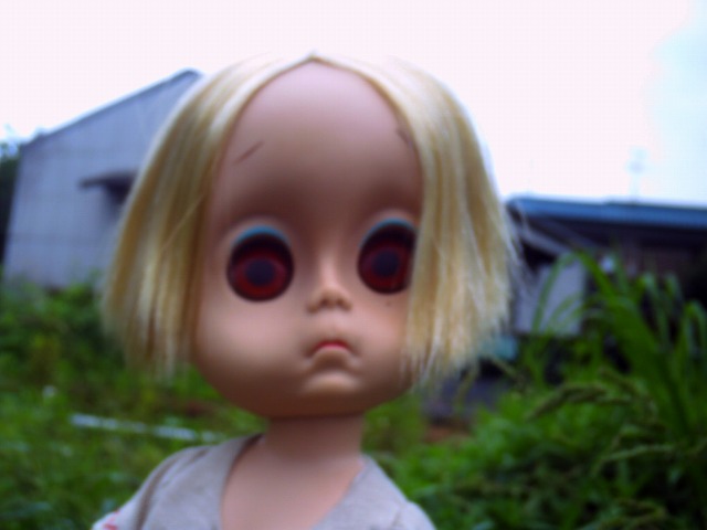 ffffff 008