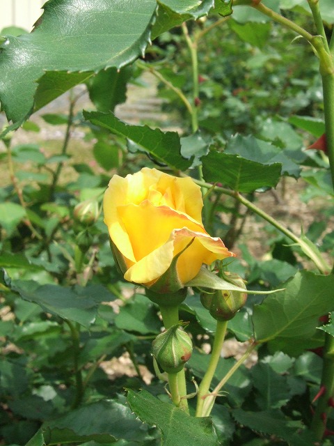 bb1f2fc9.jpg