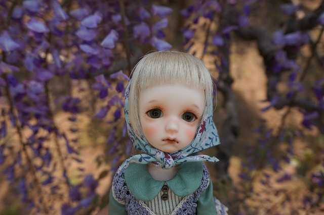 DSC08033
