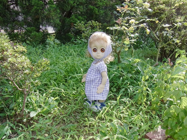 noname 024