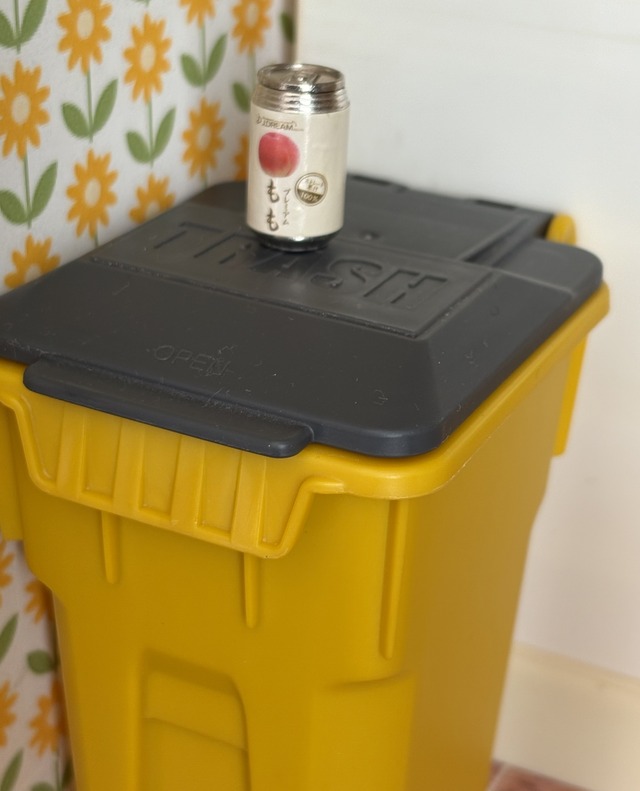 IMG_4272