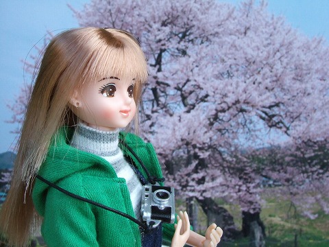 f90a0a9e.jpg