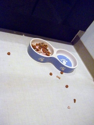 餌