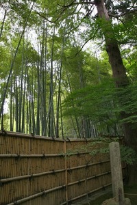 IMG_6469