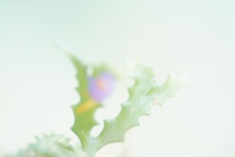 芸術の向こう側