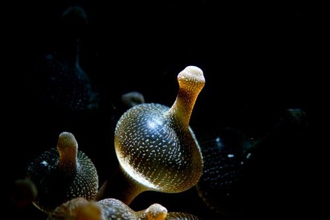 想像力の向こう側