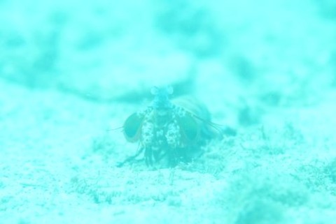 芸術の向こう側