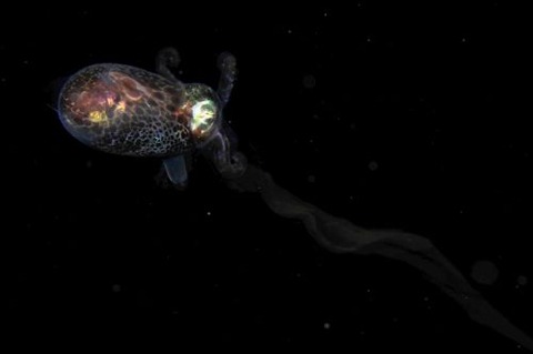 刺激的な水中生物