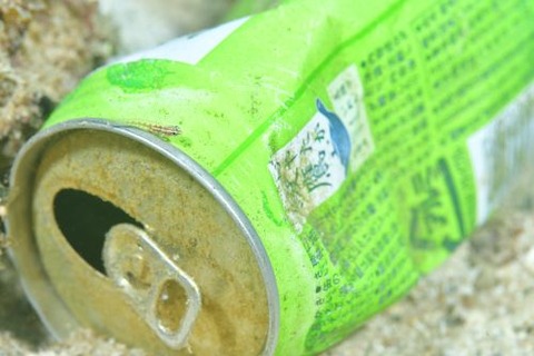 ハナグロイソハゼ