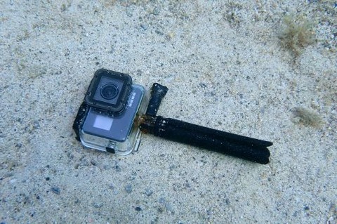 GoPro