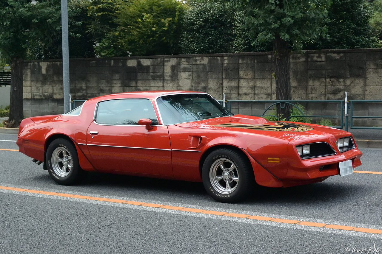 ポンティアック ファイヤーバード トランザム ポリスカー 特別限定車