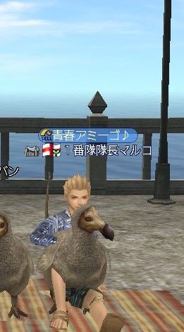 マルコさんだよ